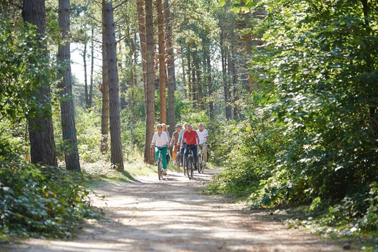 Deutschlands Mitte per Rad entdecken