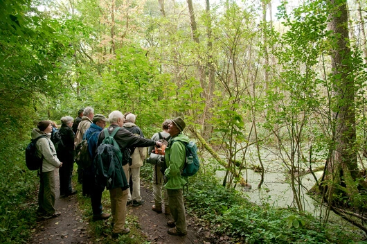 Wandern zwischen Wölfen und Waldpilzen
