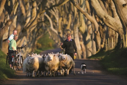 Die schönsten Seiten von Schottland, Irland und Schweden per E-Bike