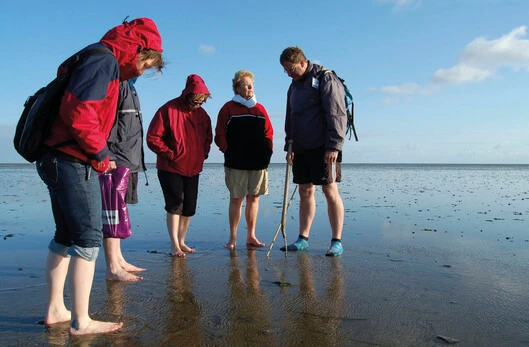 Inselradeln Nordfriesland – individuell oder in der Gruppe ein Genuss