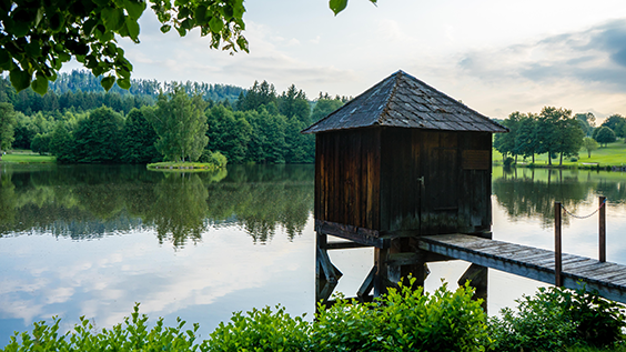 Waldsee in Österreich mit Holzsteg zu einer alten Bootshütte aus Holz dahinter grüne Hügel Mischwald