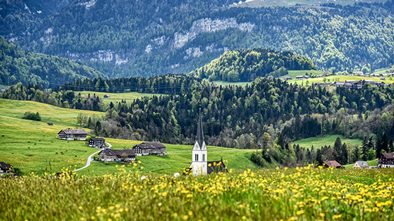 Grüne Hügel im Bregenzerwald auf kleines Dorf mit traditionellen Holzhäusern und Kirchturm