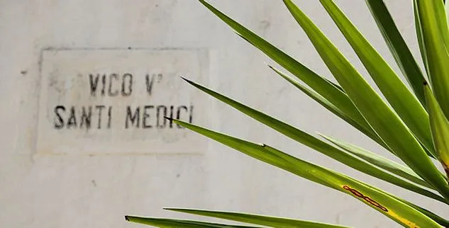 An der Häuserwand steht Vico vi Santi Medici, Pflanzen im Vordergrund