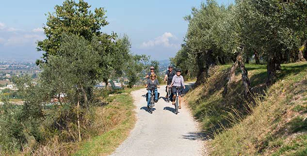 Radfahrer auf einer geführten Landpartie-Radreise im Herzen Spaniens