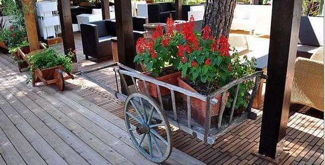 Blumen vor einer Lounge in einem Ziehwagen