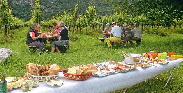 Picknick im Grünen während einer Radtour mit der Landpartie