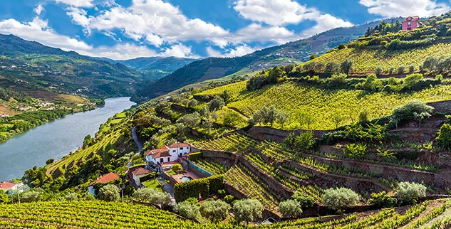 Aussicht über den Jakobsweg und die Weinregion Alto Douro in Nordportugal