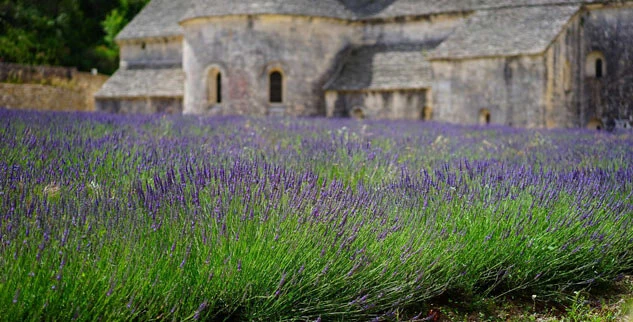 Sternradeln im Land des Lichts