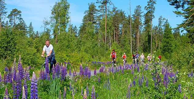 Radfahrer auf einer geführten Landpartie-E-Bike-Reise durch die Natur und