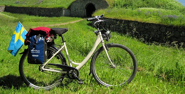 Fahrrad auf einer Wiese
