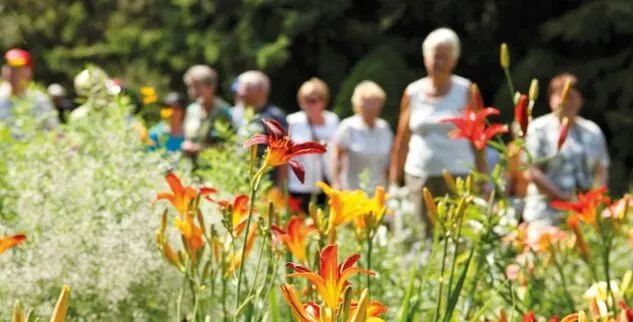 Menschen im Blumenfeld