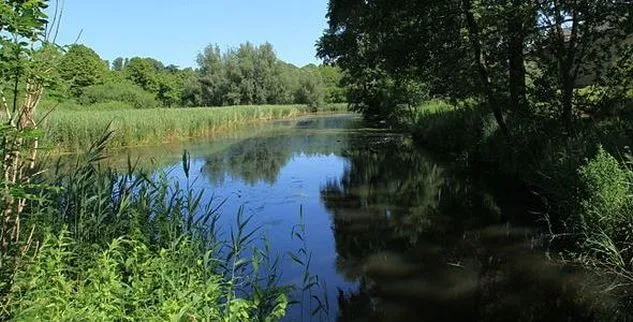 Entlang schöner Radwege an der Schlei