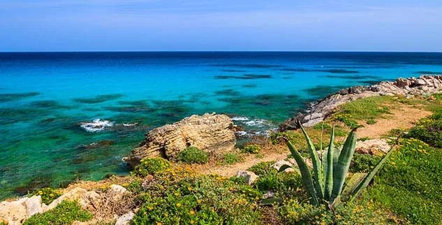 Die sonnige Küste von Mallorca