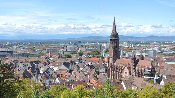 Freiburg, Blick auf den Münster