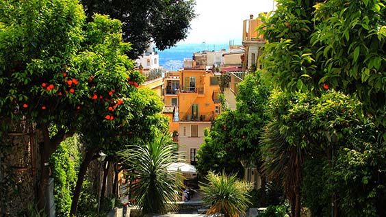 Blick durch Orangenbäume und Palmen auf die Stadt Taormina auf Sizilien