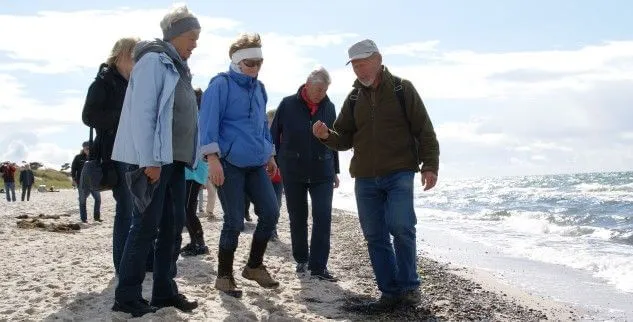 Wandergruppe in Darss, Deutschland, auf unserer Wildnis Wanderreise in Deutschland