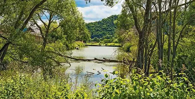 Blick auf einen Fluss, fotografiert während der Landpartie Radreise am Altmühltalradweg