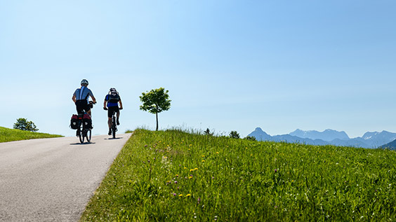 Zwei Radfahrer radeln mit der Landpartie auf einer Straße durch grüne Wiesen