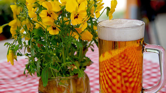 Bier und Blumen auf einer rot karierten Tischdecke während der Radpause