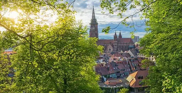 Blick durch Bäume auf Straßburg hinunter