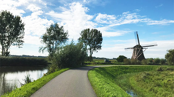 Bild zur Reise Hollands schönste Städte