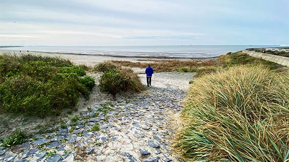 Küste in Holland
