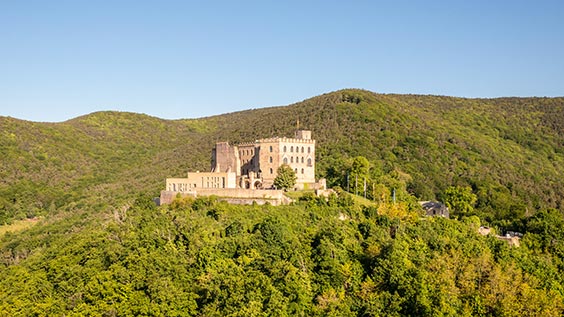 Altes Schloss auf einem waldigen Hügel