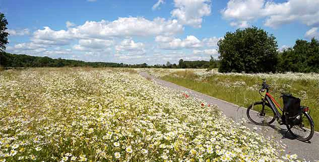 Radwegnetz im Münsterland, fotografiert in einem Radurlaub mit der Landpartie