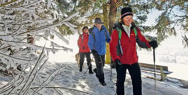Silvester mit der Landpartie erleben: Wandern im Schwarzwald