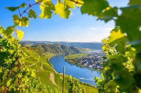 Teaserbild für individuelle Radreisen: Der Westen Deutschlands