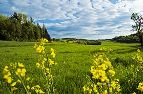 Deutschland Teaserbild