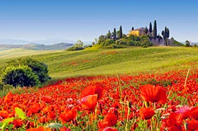 Italien Teaserbild