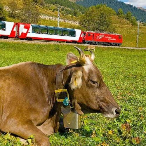 Teaser Schweiz & Österreich