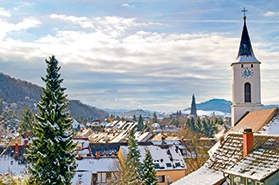 Silvester im Schwarzwald Teaserbild