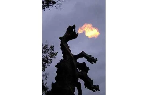 Wawel-Drache