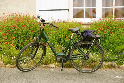 Gebrauchte Landpartie E-Bikes
